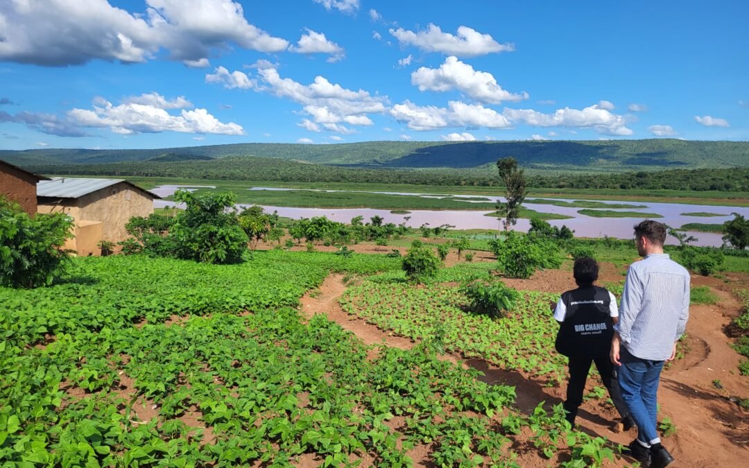 Demo site Rwanda