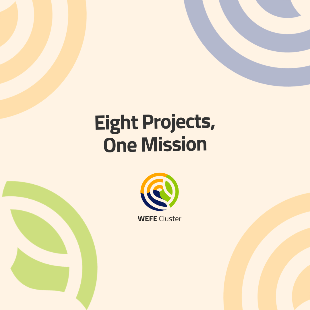 Cluster SUNNY Eight Projects, One Mission - WEFE Cluster